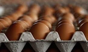 Вологдастат: существенно в цене упали только яйца