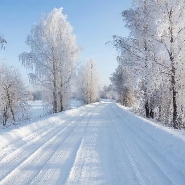 Зима в Вологде: кто отвечает за уборку снега и куда жаловаться, если его не убирают